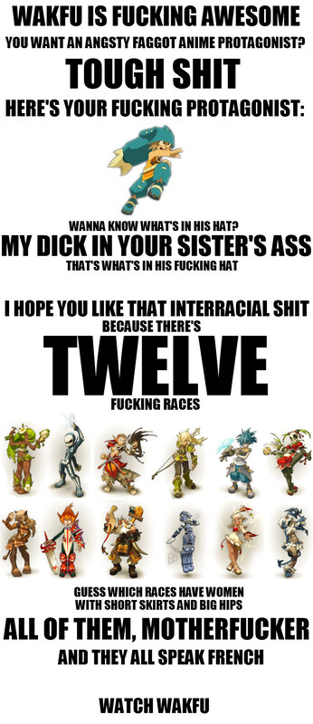 Wakfu character meme