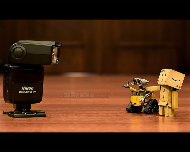Wall-E and Danbo on a table