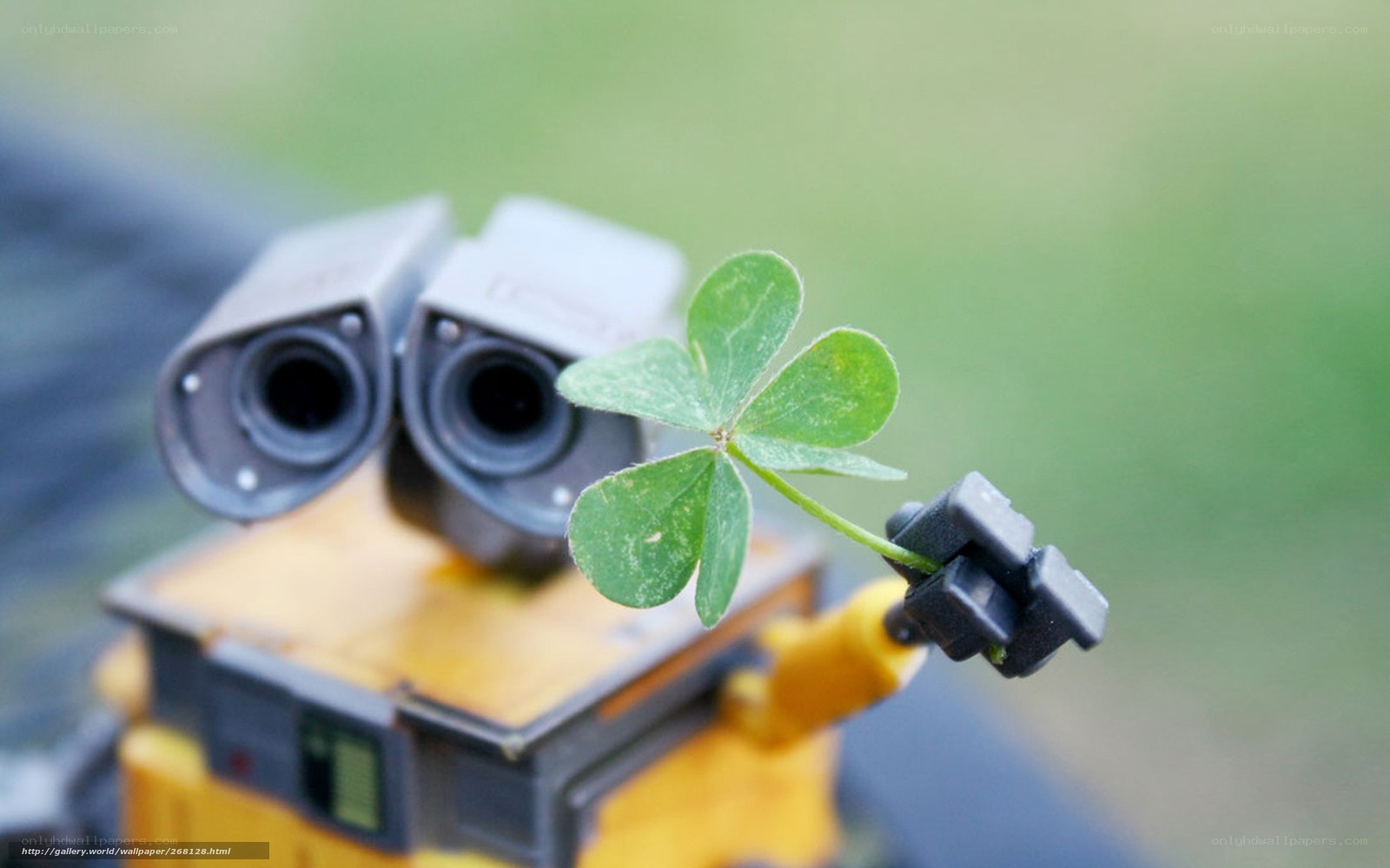 Wall-E holding a four-leaf clover