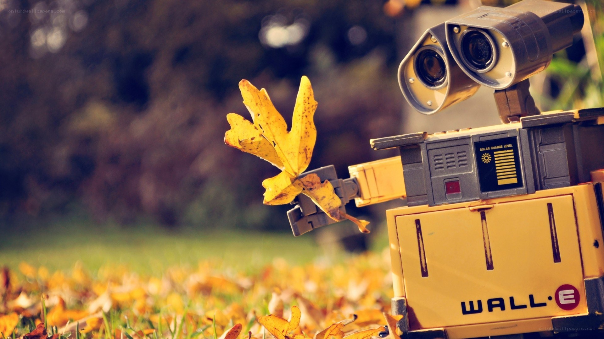 Wall-E holding a leaf
