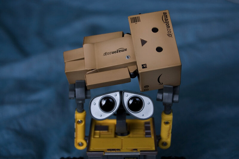 Wall-E with Danbo box