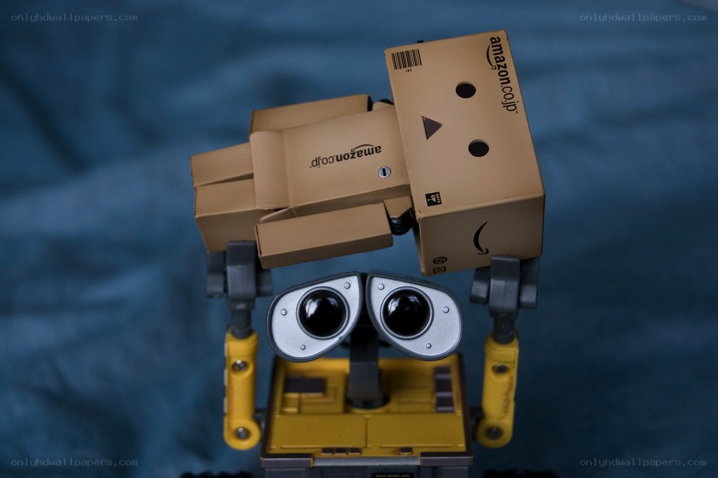 Wall-E with Danbo box
