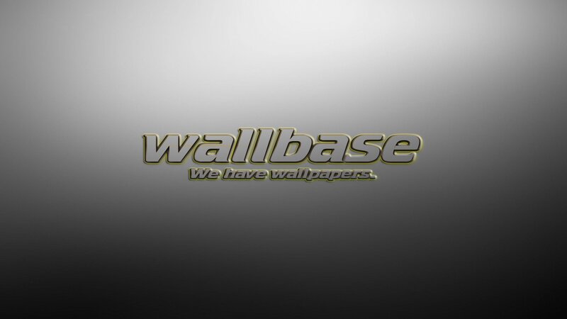 Wallbase Logo — Gray