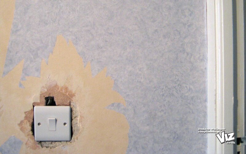 Wallpaper removal around switch