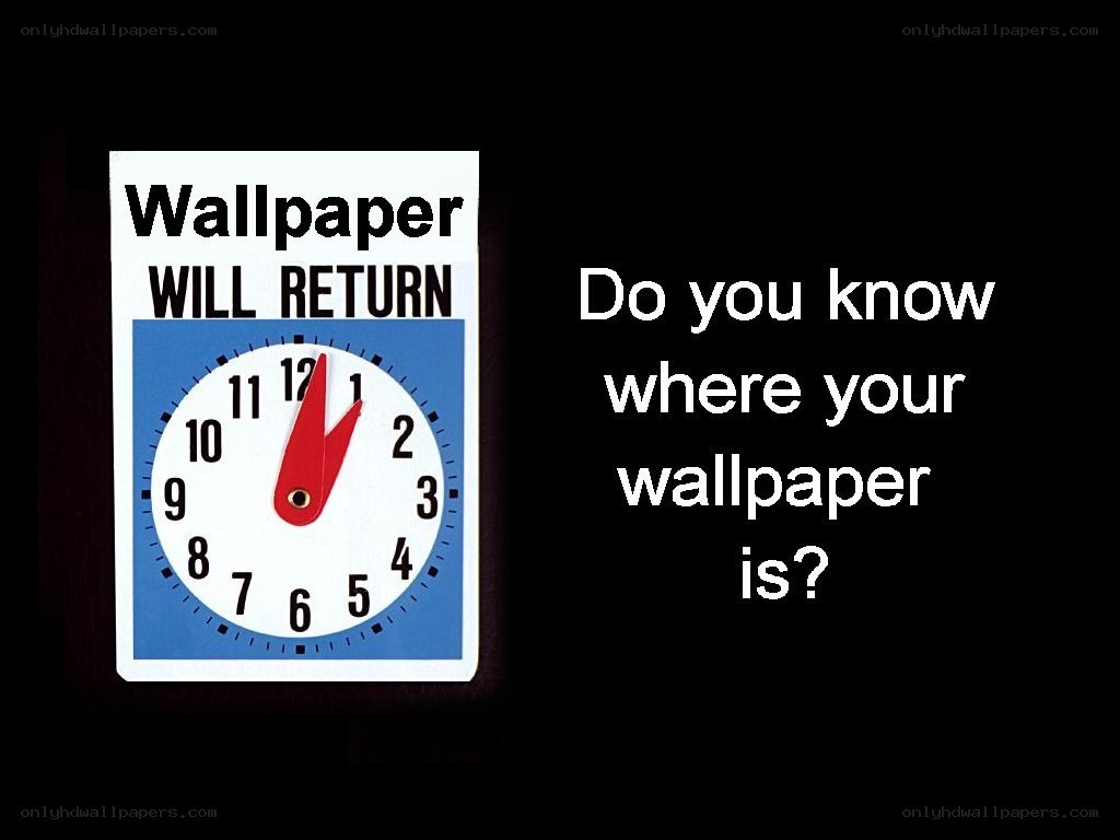 Wallpaper will return