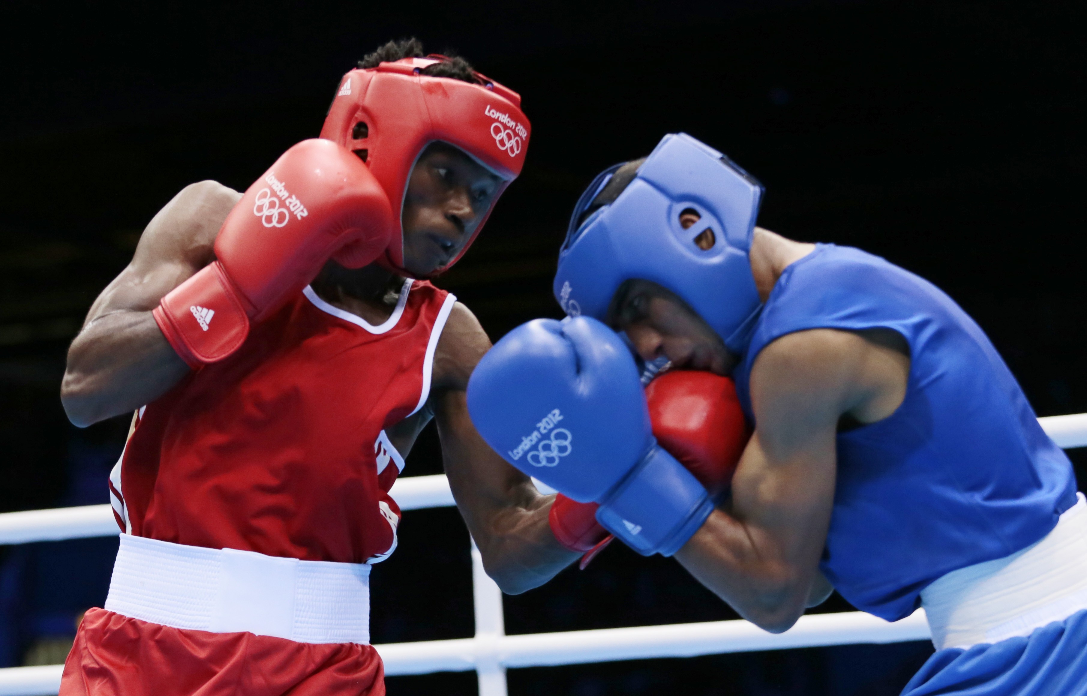 New boxing. Бокс. Бокс вид спорта. Современный бокс. Боксер спорт.