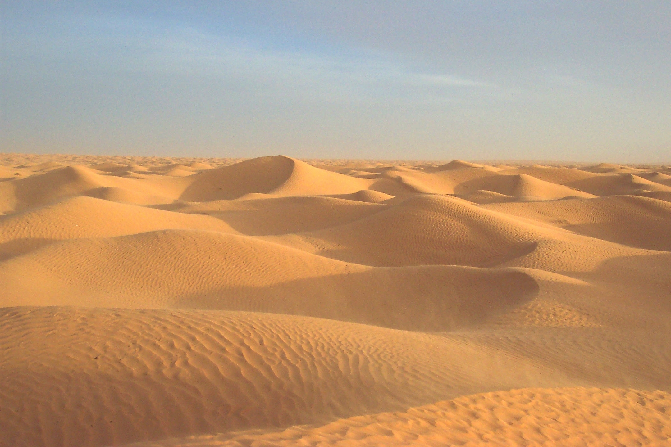 Пустыня. Грейт-Санд-Дьюнс. Дюны Барханы грядовые Пески. Песчаные дюны с барханами Египта. Ярданги, дюны, Барханы.