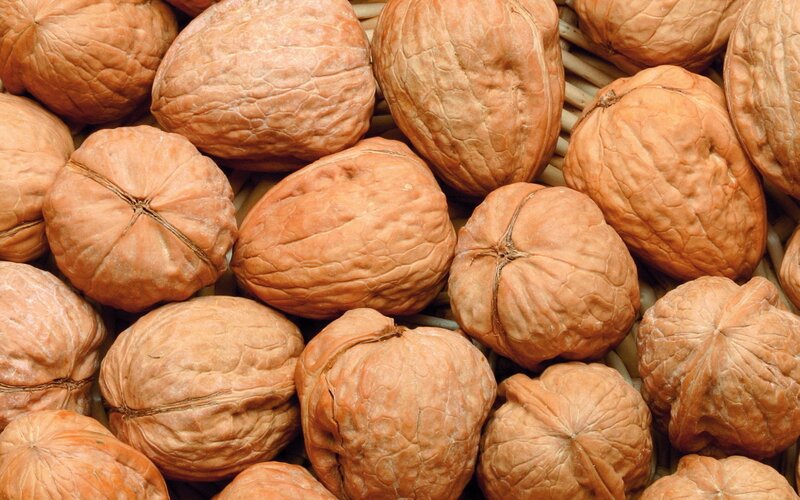 Walnuts in a Basket — Brown, Neutral