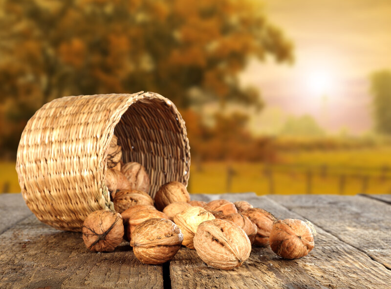 Walnuts in a Basket