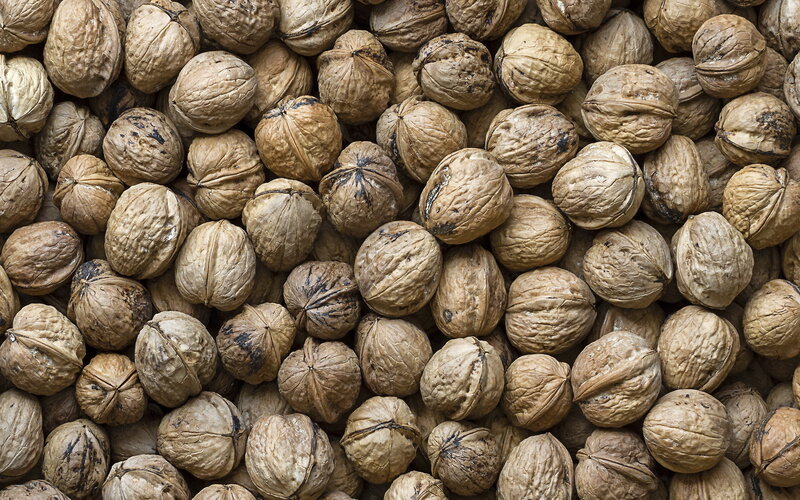 Walnuts in Shell