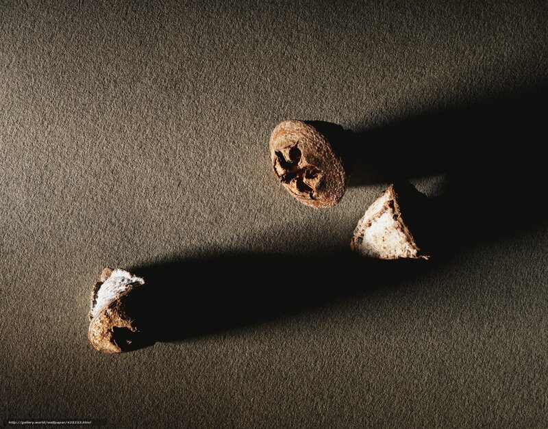 Walnuts on a dark surface
