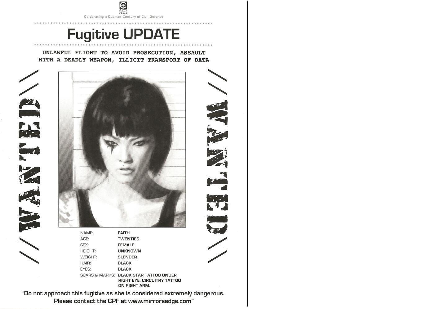 Wanted Fugitive Poster