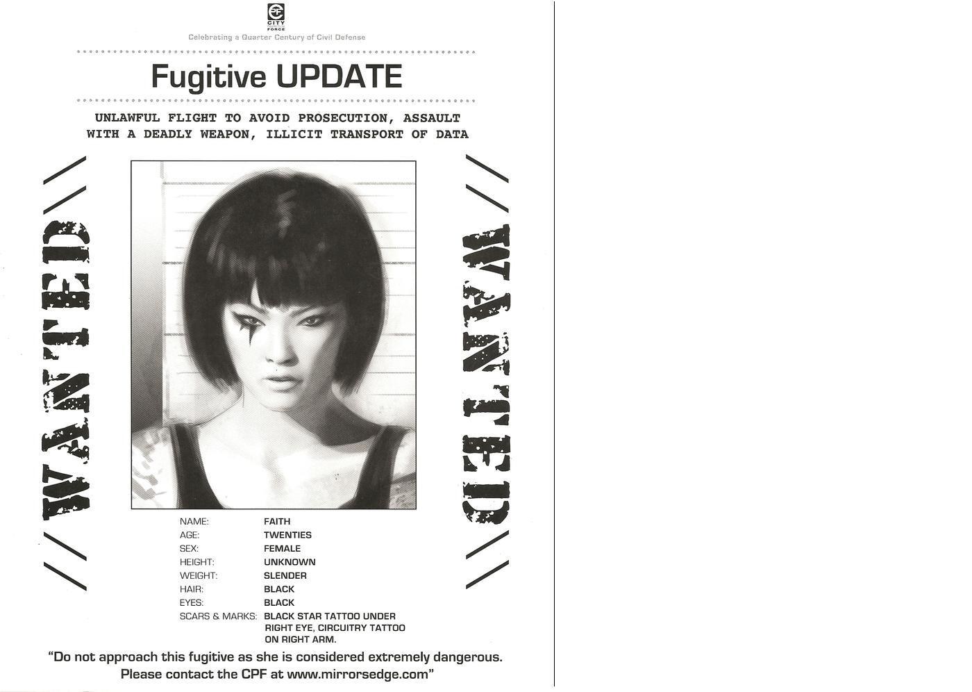 Wanted Fugitive Poster