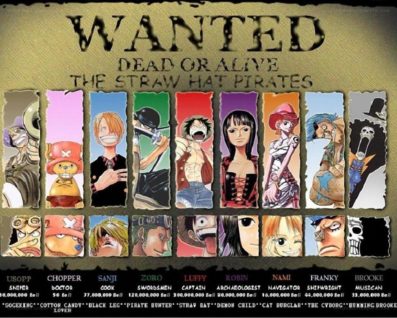 Wanted poster for Straw Hat Pirates