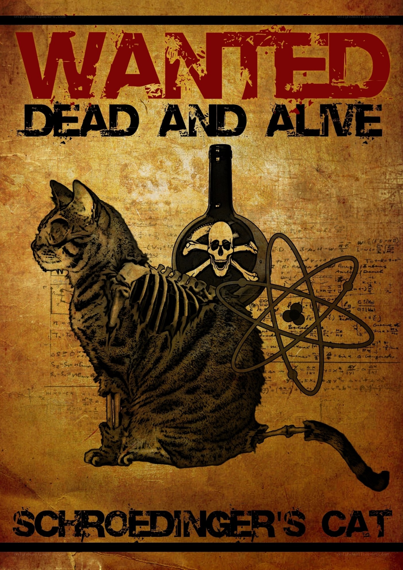 Wanted: Schrödinger's Cat