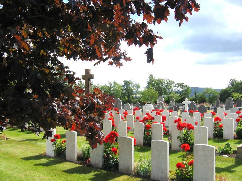 War cemetery with red flowers