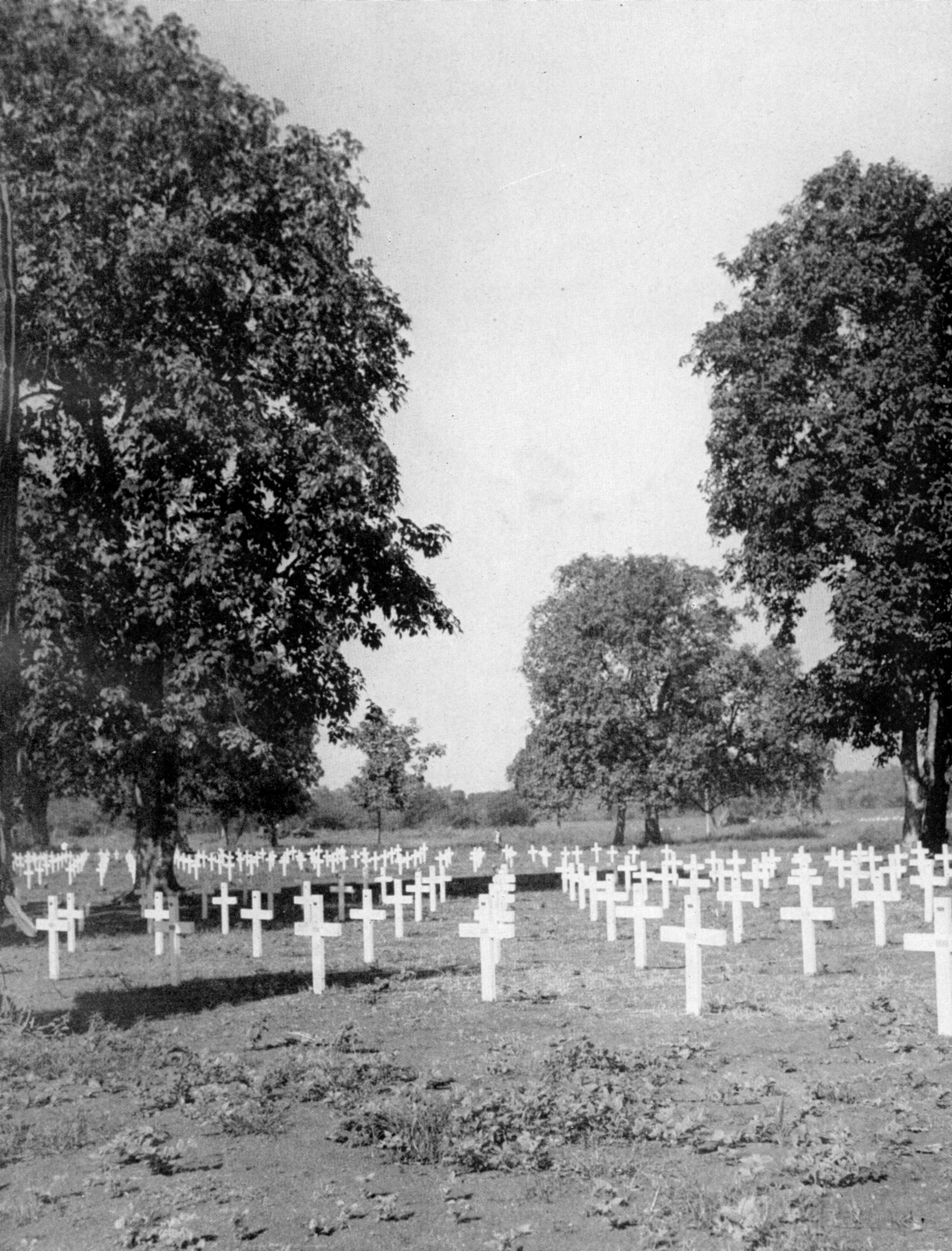 War cemetery with white crosses