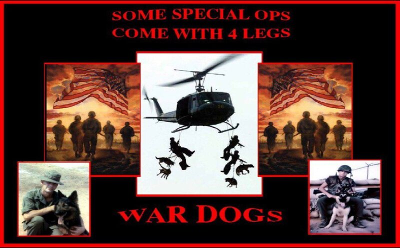 War Dogs with Soldiers