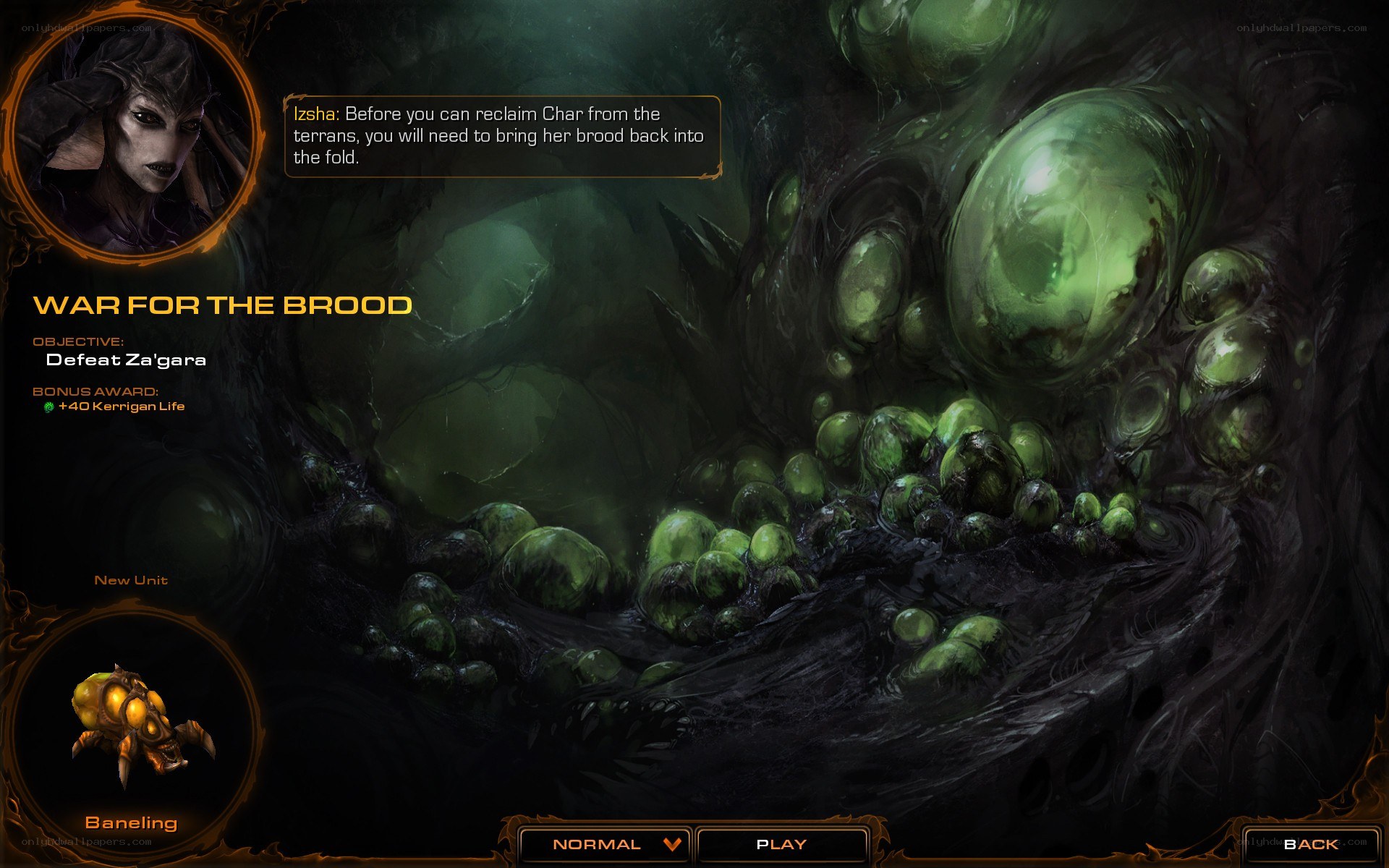War for the Brood