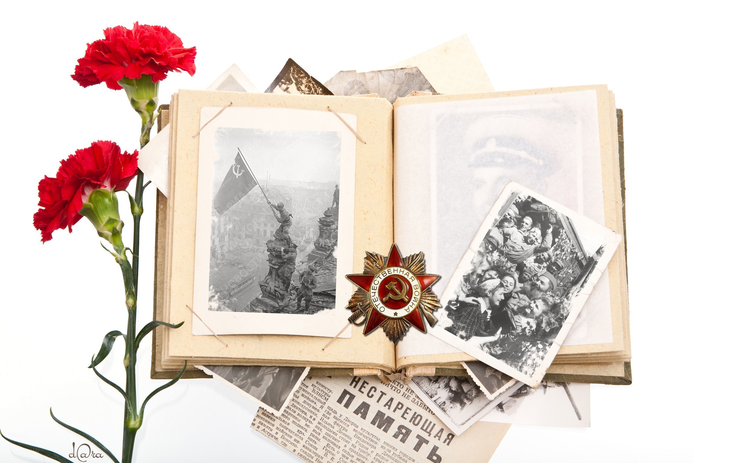 War memorabilia with carnations