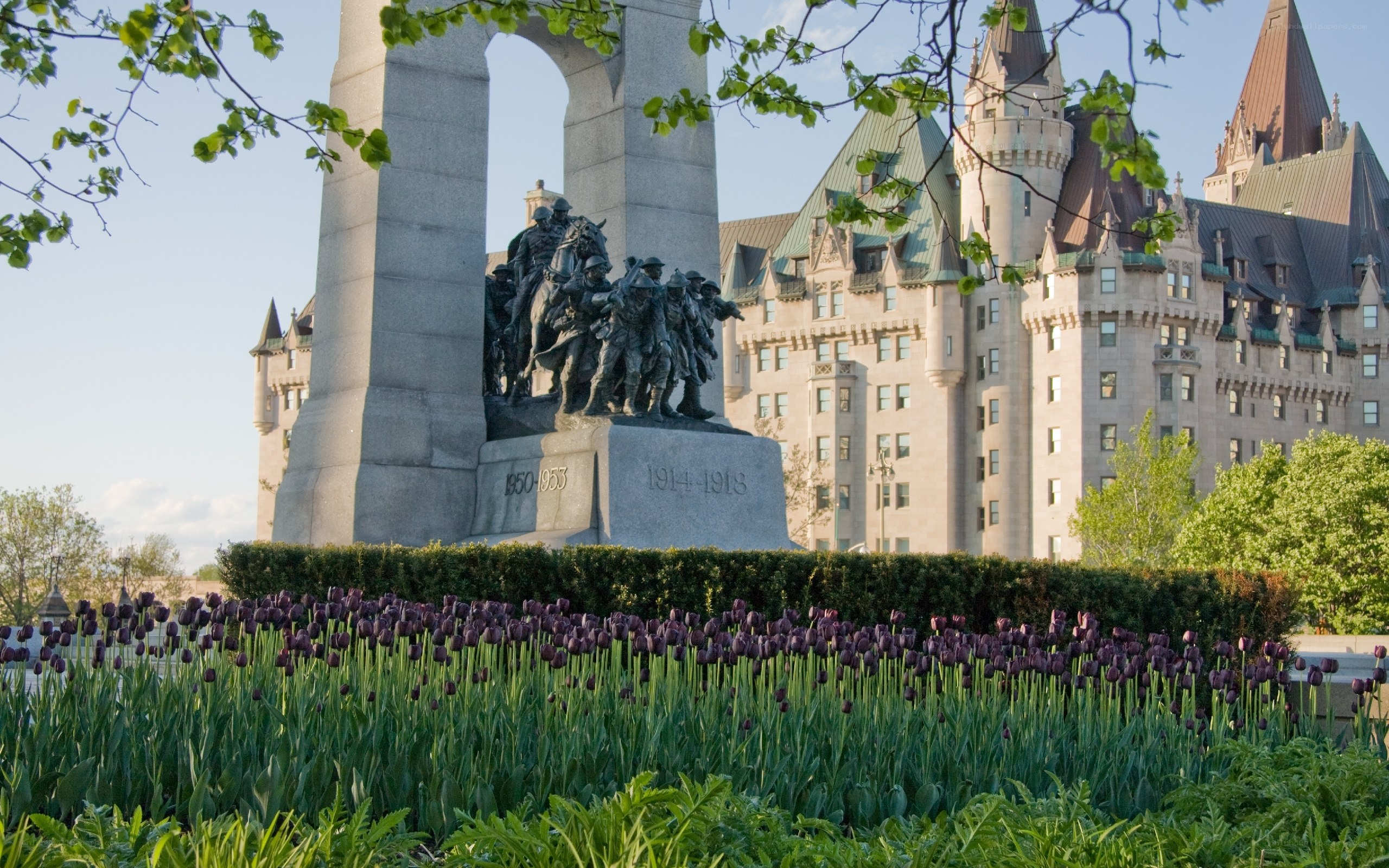 War memorial with purple tulips