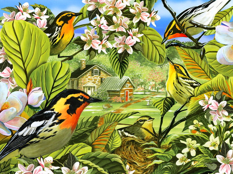 Warblers in Blossoms