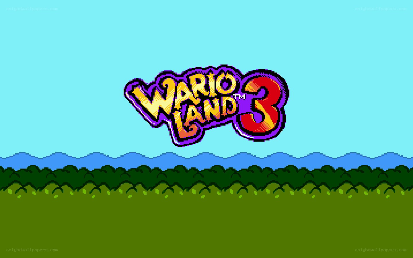 Wario Land 3 title screen