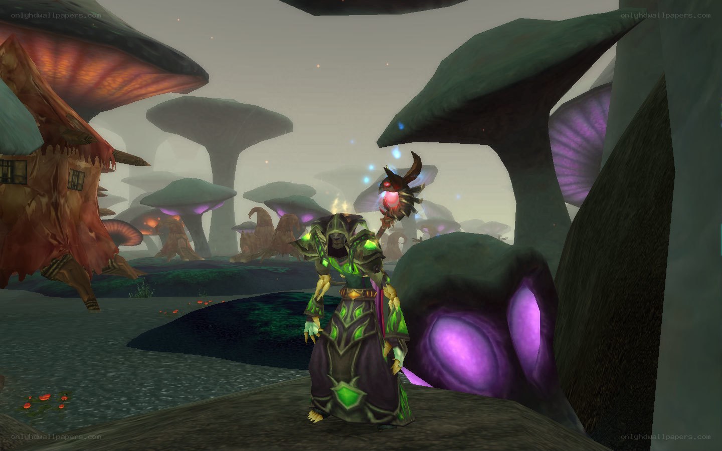 Warlock in a fungal forest