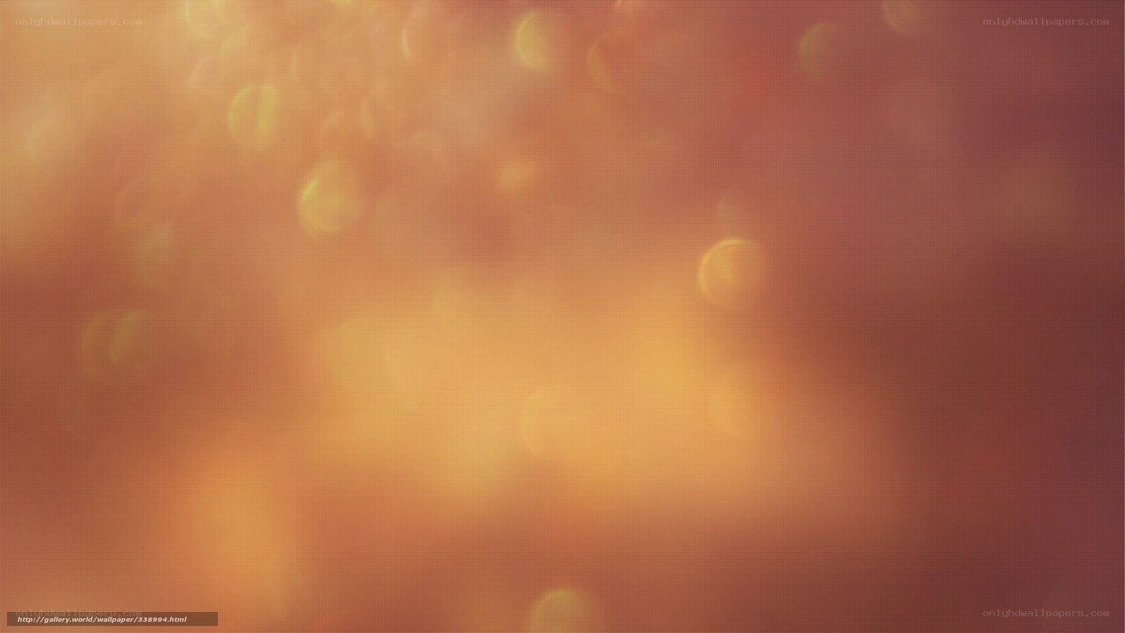 warm bokeh light background
