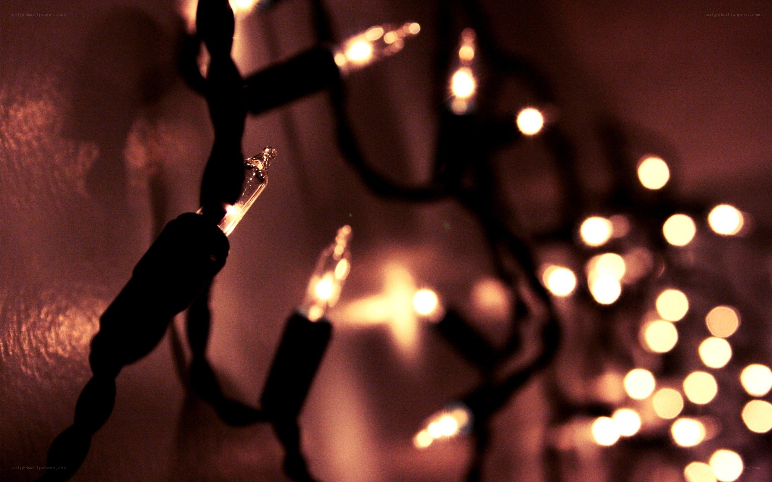 warm string lights on wall