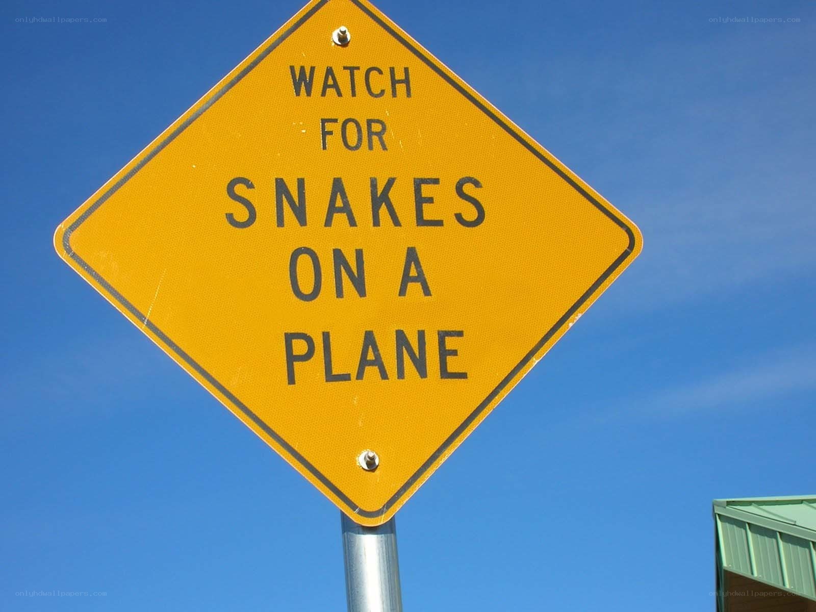 Warning sign about snakes on a plane