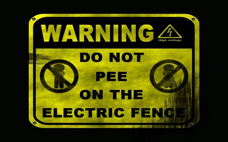 Warning sign: do not pee on electric fence