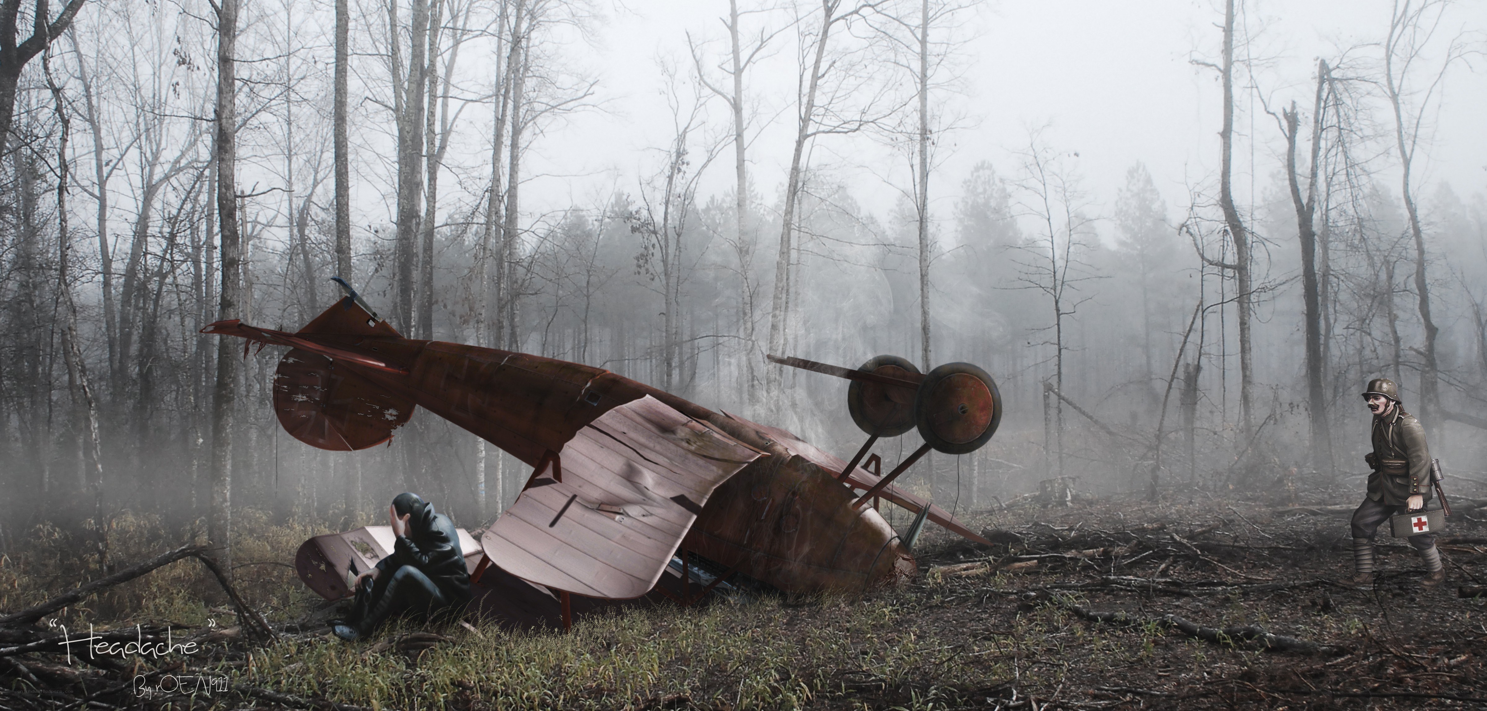 Warplane crash in foggy forest