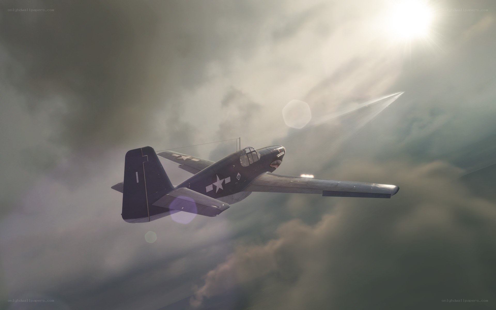 Warplane in cloudy sky