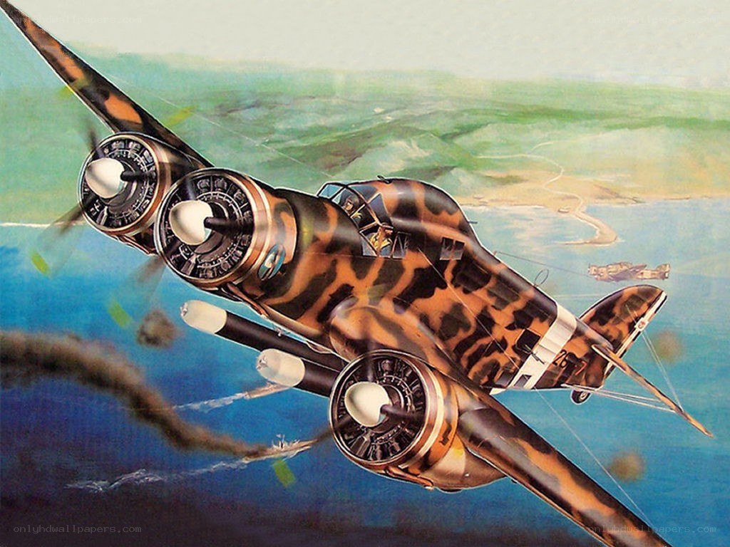 Warplane in flight over sea