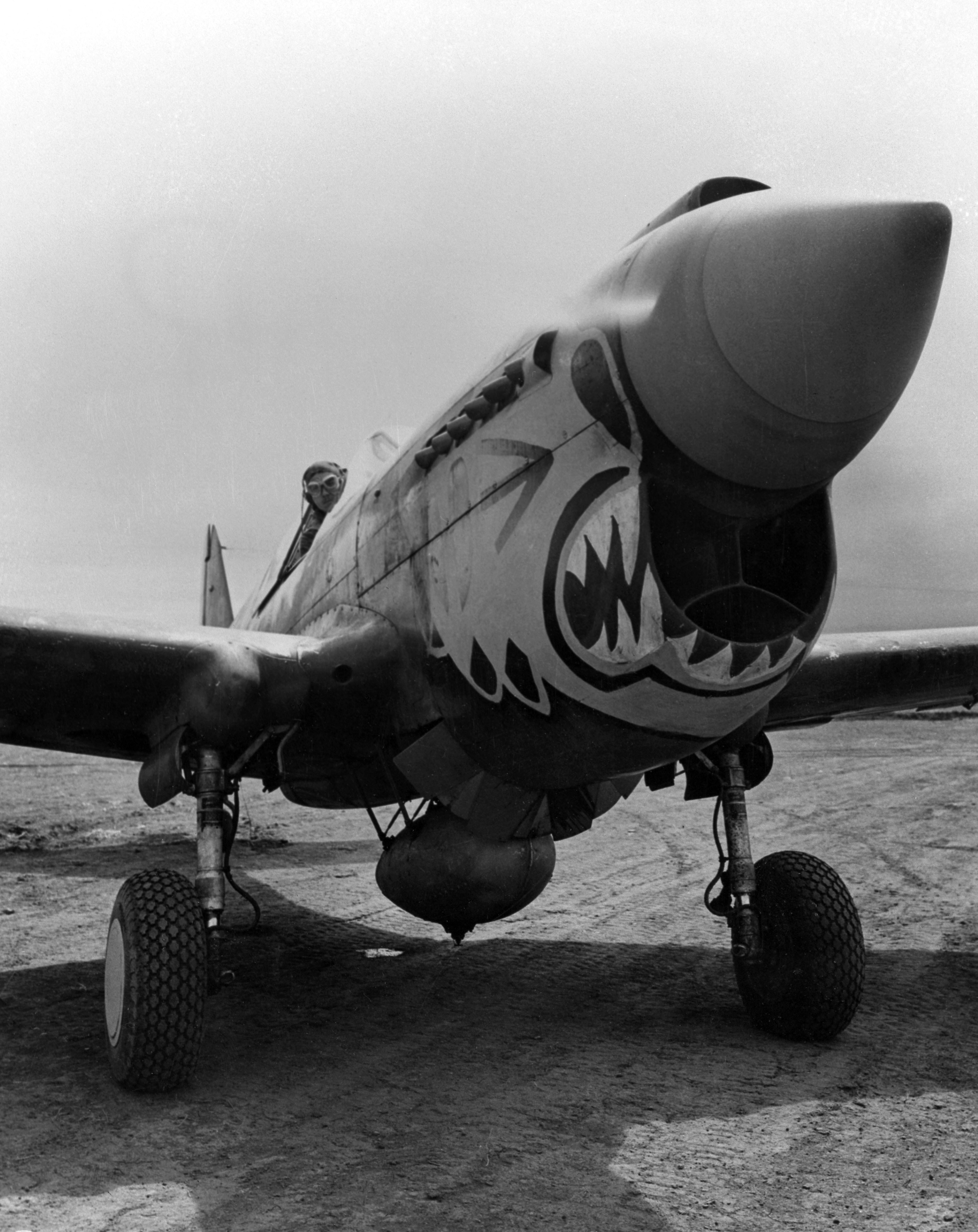 Warplane with shark face