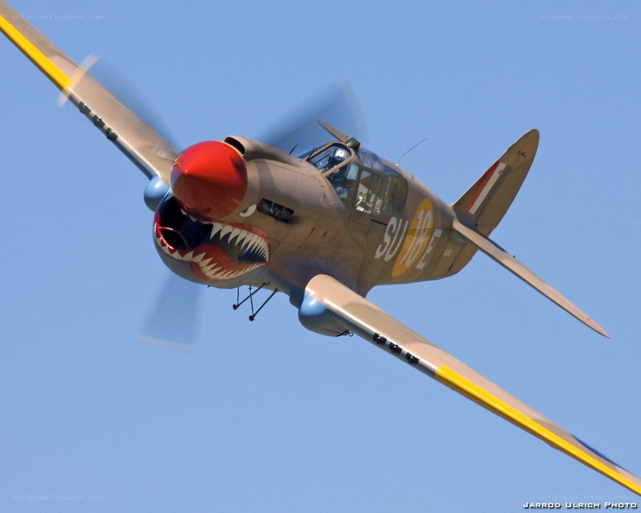 Warplane with shark mouth