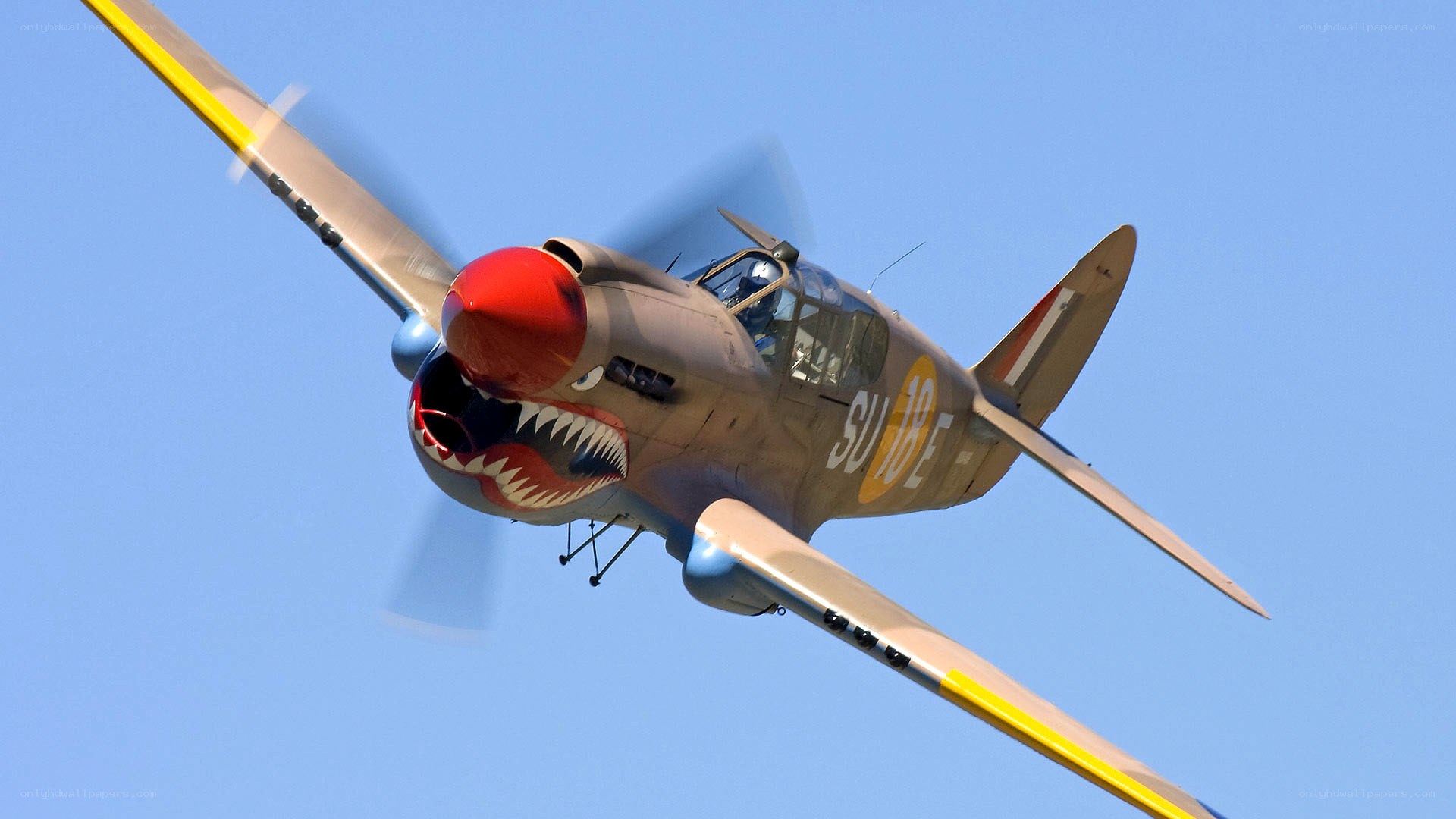 Warplane with shark mouth