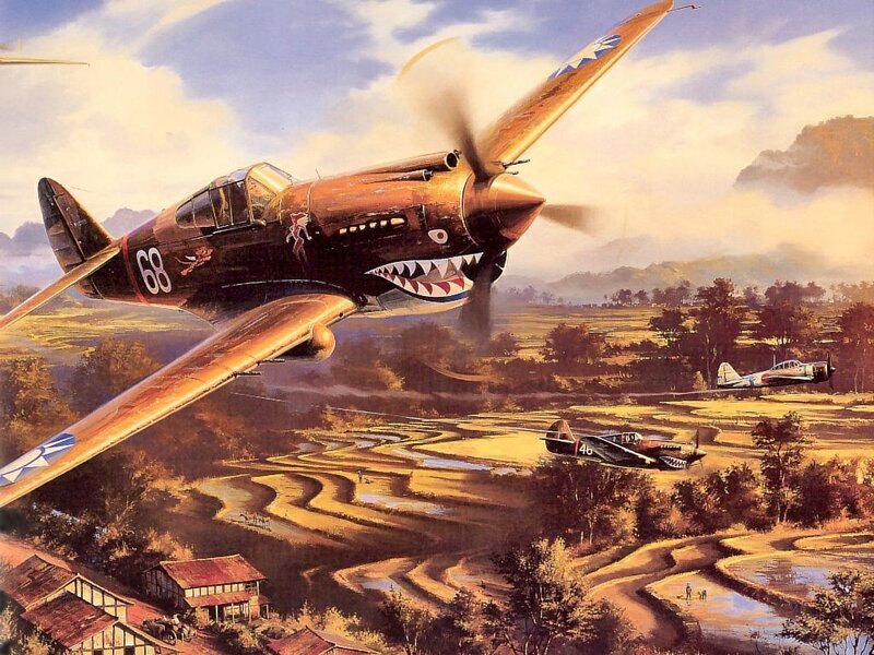 Warplanes over rice fields