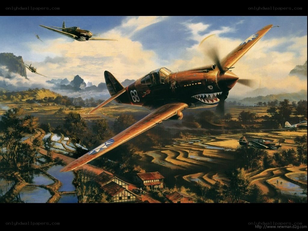 Warplanes over rice terraces