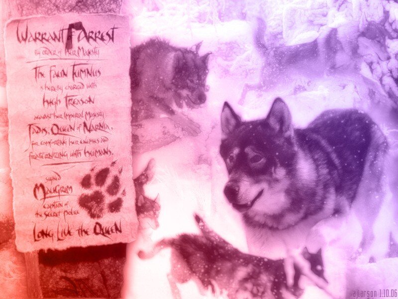 Warrant for arrest of fox in Narnia