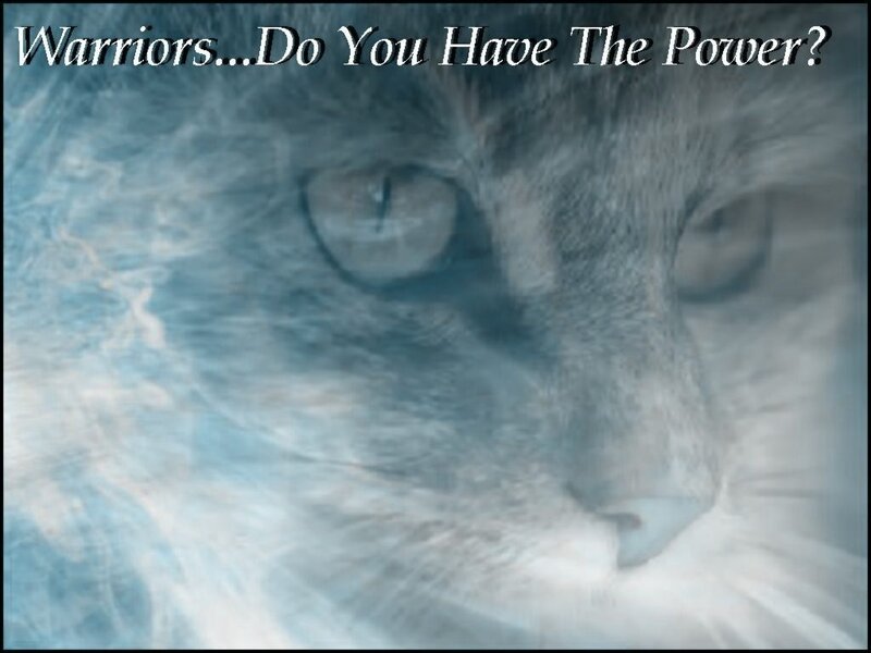 Warrior cat with power question