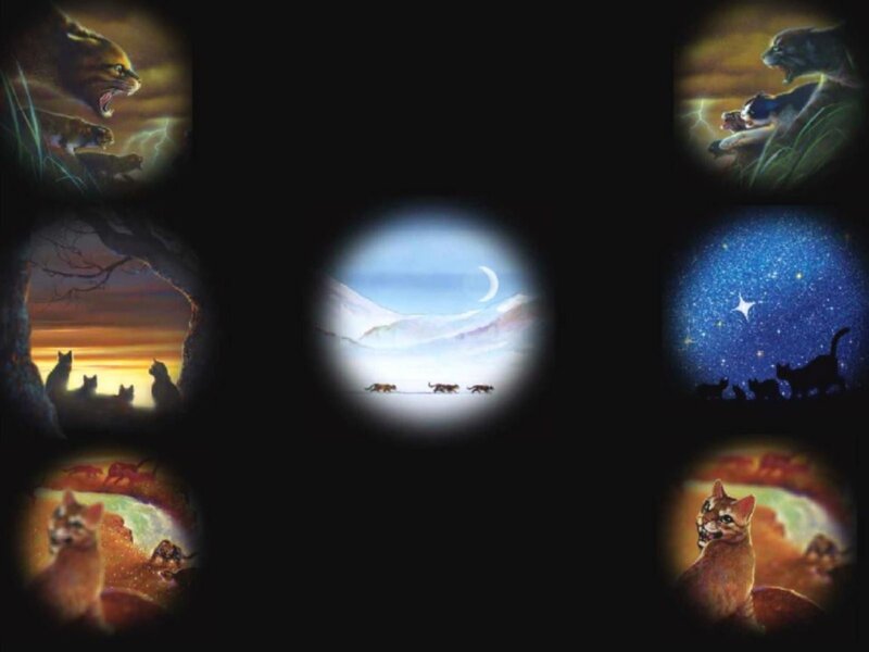 Warrior Cats book covers