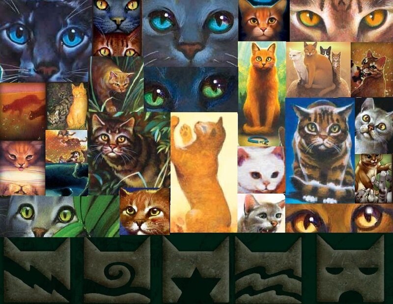 Warrior Cats collage