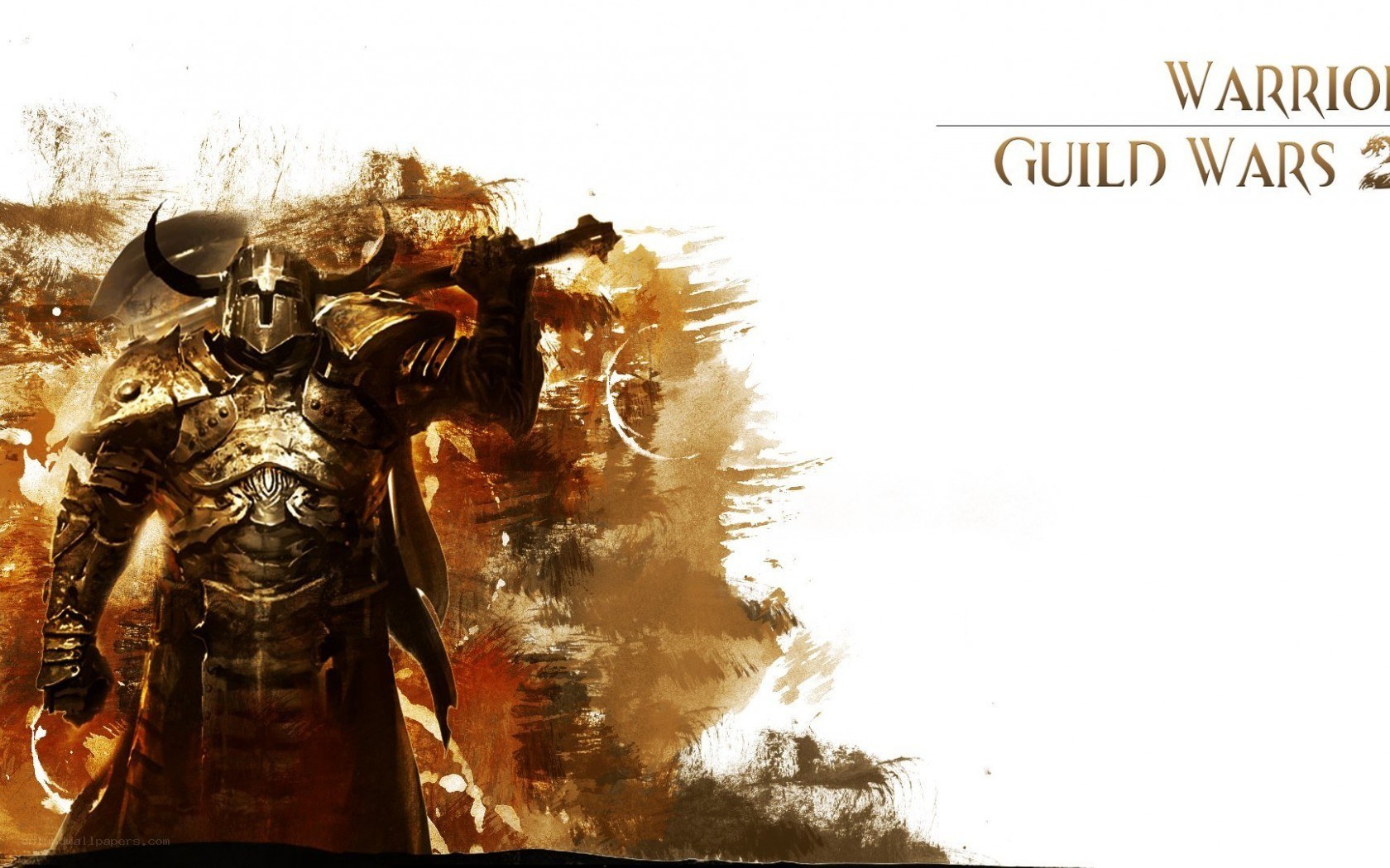 Warrior from Guild Wars 2
