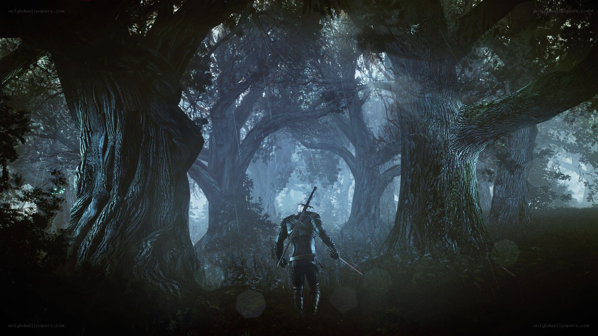 warrior in a dark forest