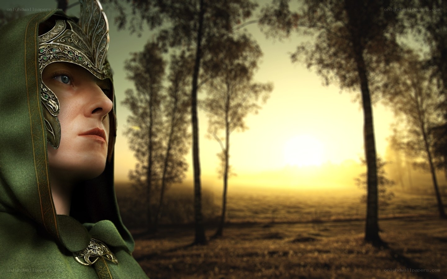 warrior in forest at sunrise