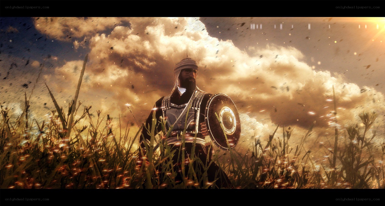 warrior in golden field