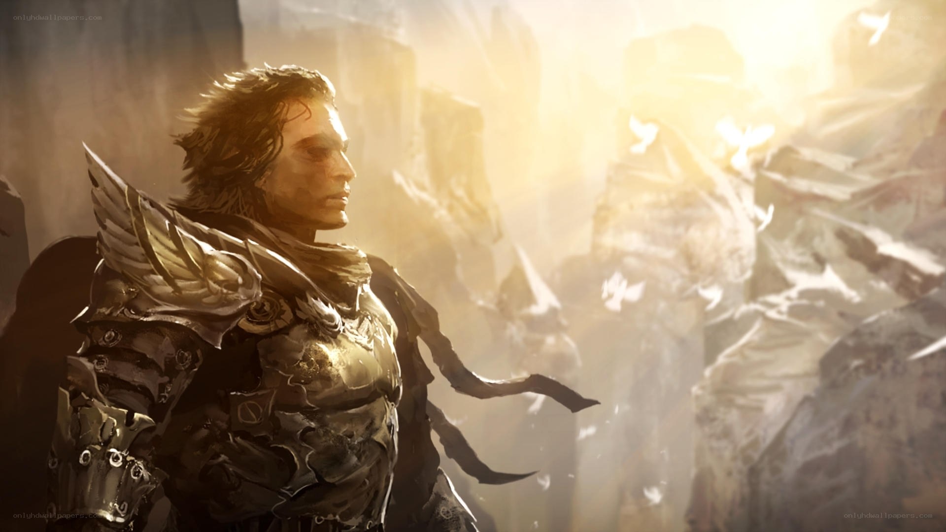 warrior in golden light