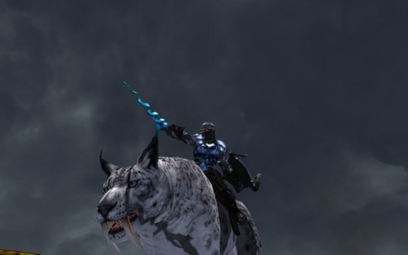 Warrior on a Lynx